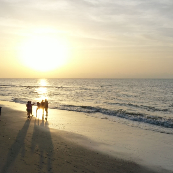 Group of people on beach watching the sunset