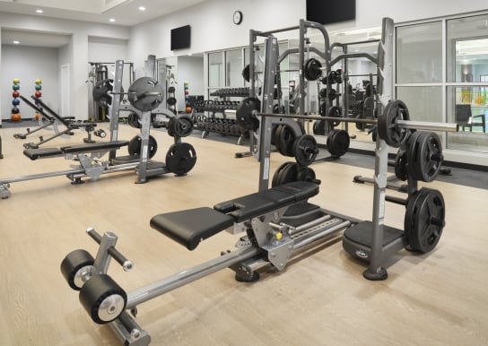 78Fitness Free Weights