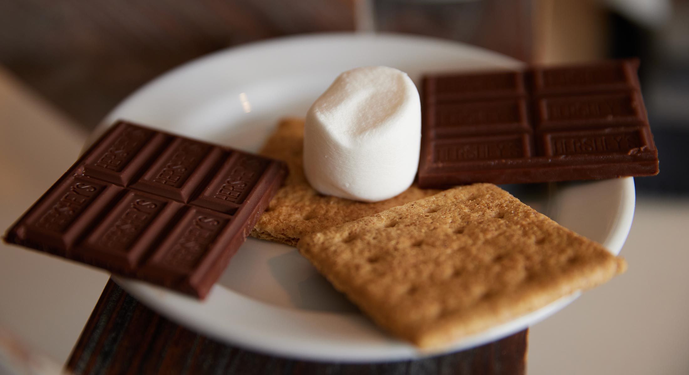 Close up of S'mores ingredients on plate