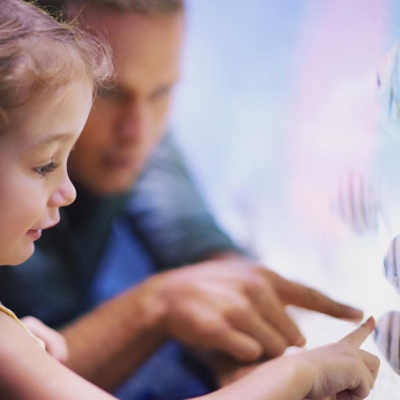 little girl pointing at the fish in the aquarium