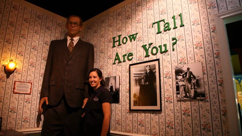 A tall statue in a museum