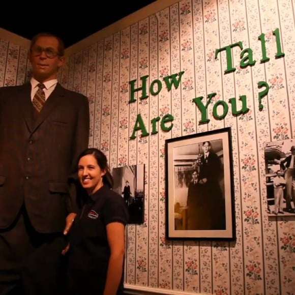 A tall statue in a museum