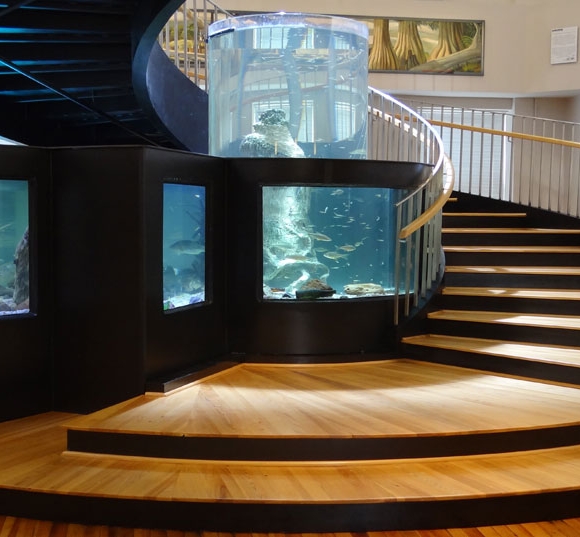 Spiral stairs around fish tanks.