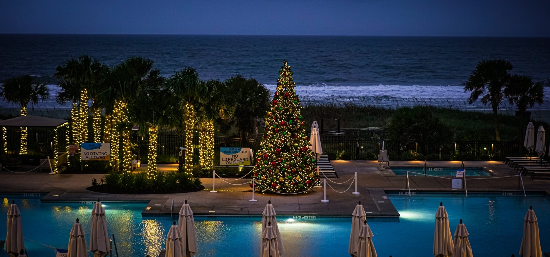 Currents Seaside Entertainment Christmas tree lit up at night