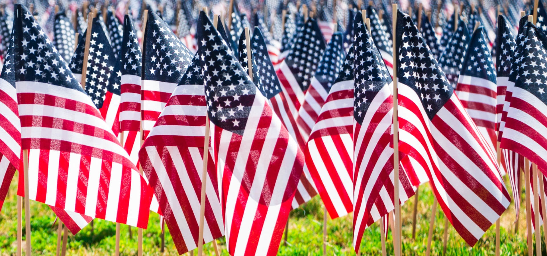 A field of American flags
