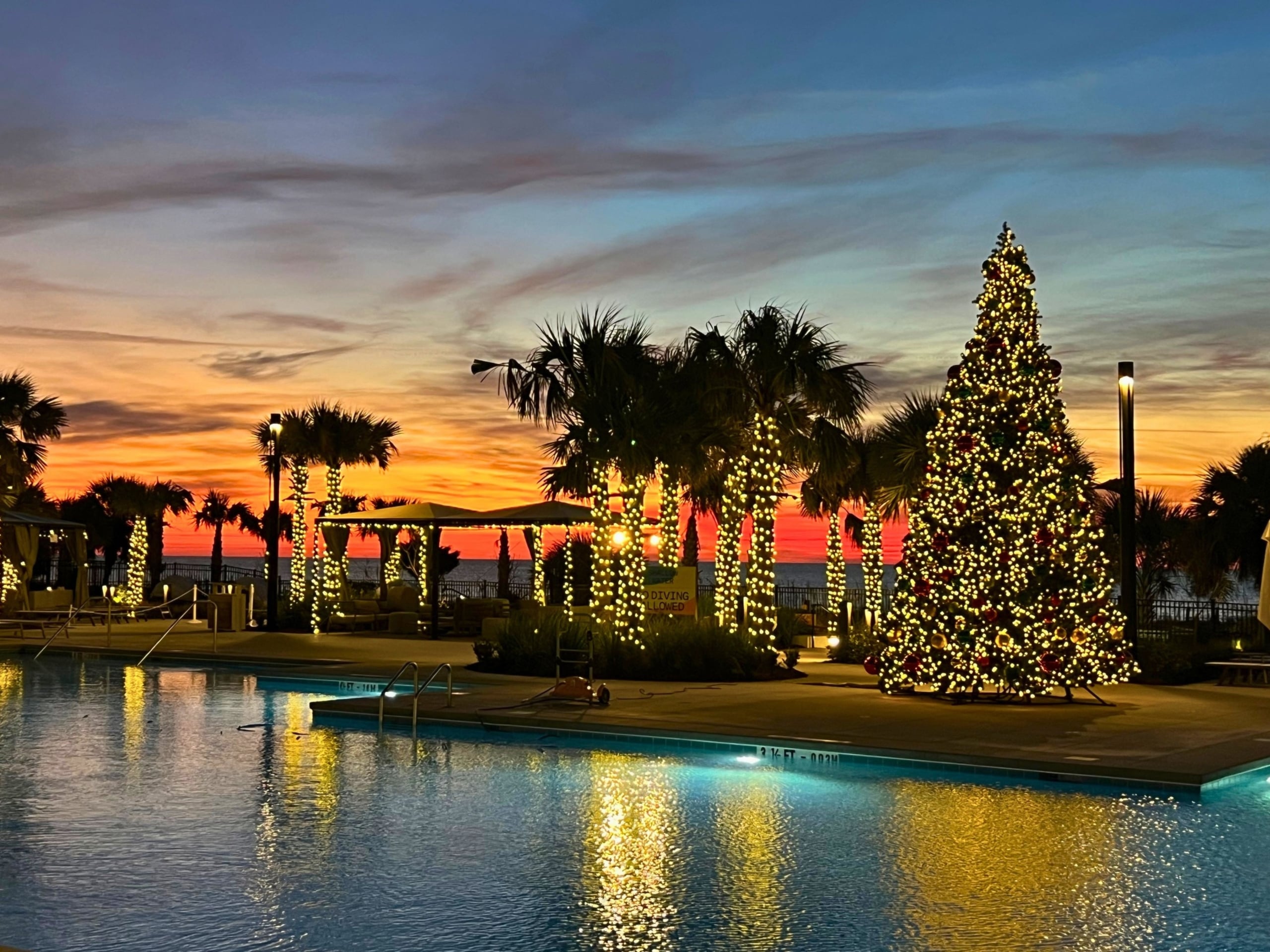 Sunset over a resort pool with palm trees and a tall, illuminated Christmas tree. Best viewed at dusk.